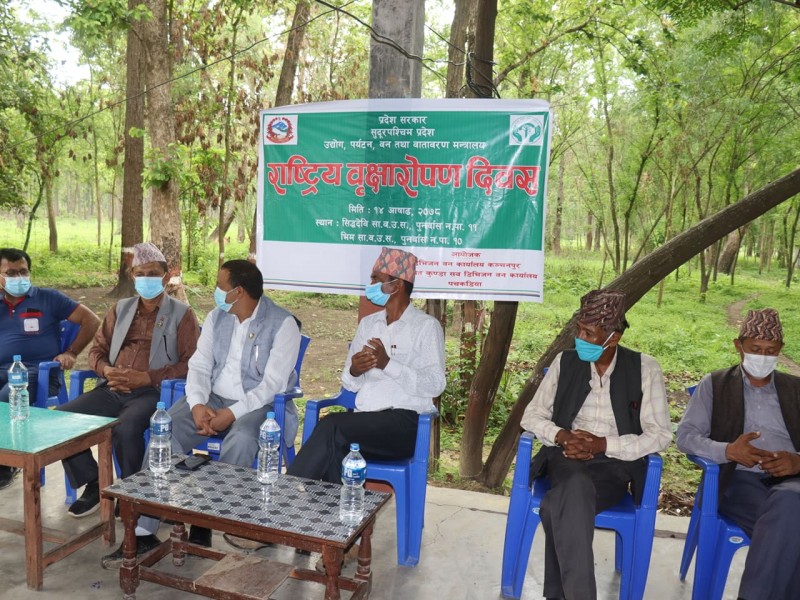 राष्ट्रिय वृक्षारोपण दिवस २०७८ : कञ्चनपुरमा पनि वृक्षारोपण